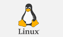 Featured image of post Linux